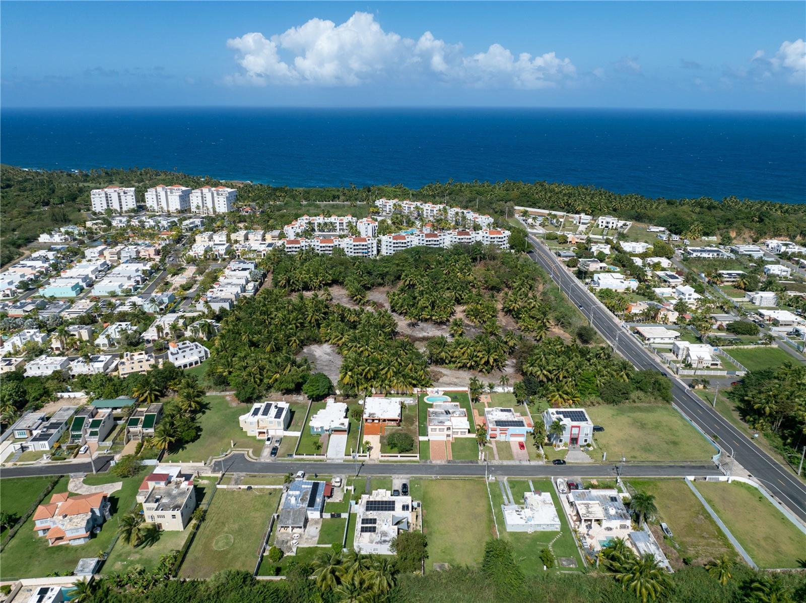 VEGA ALTA — foto 3
