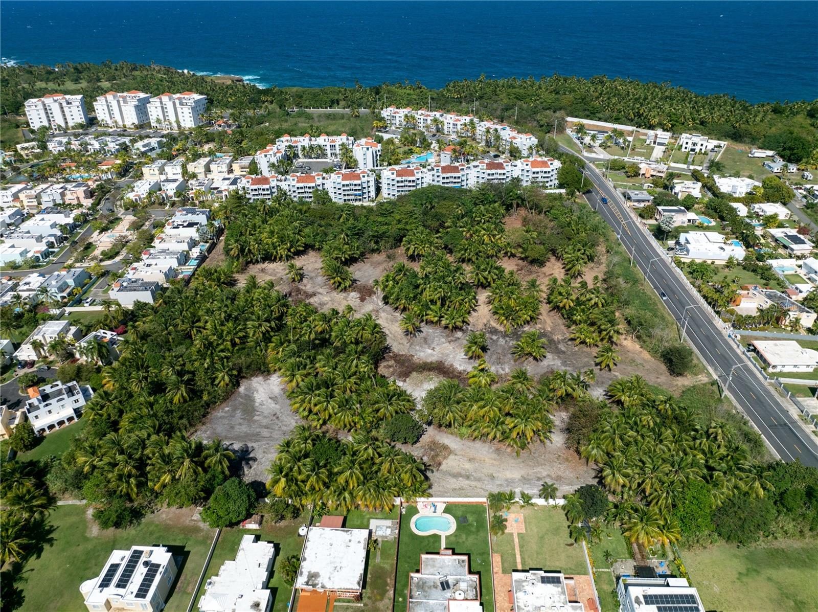 VEGA ALTA — foto 6