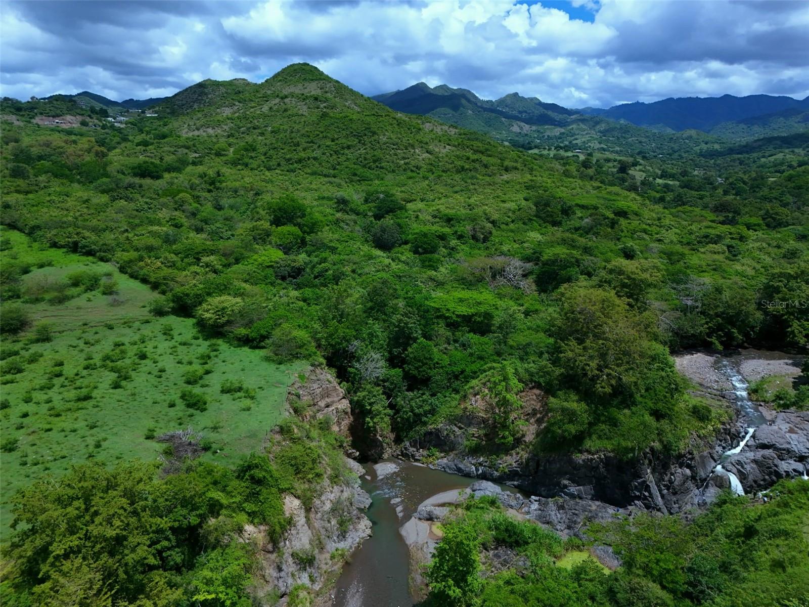 COAMO