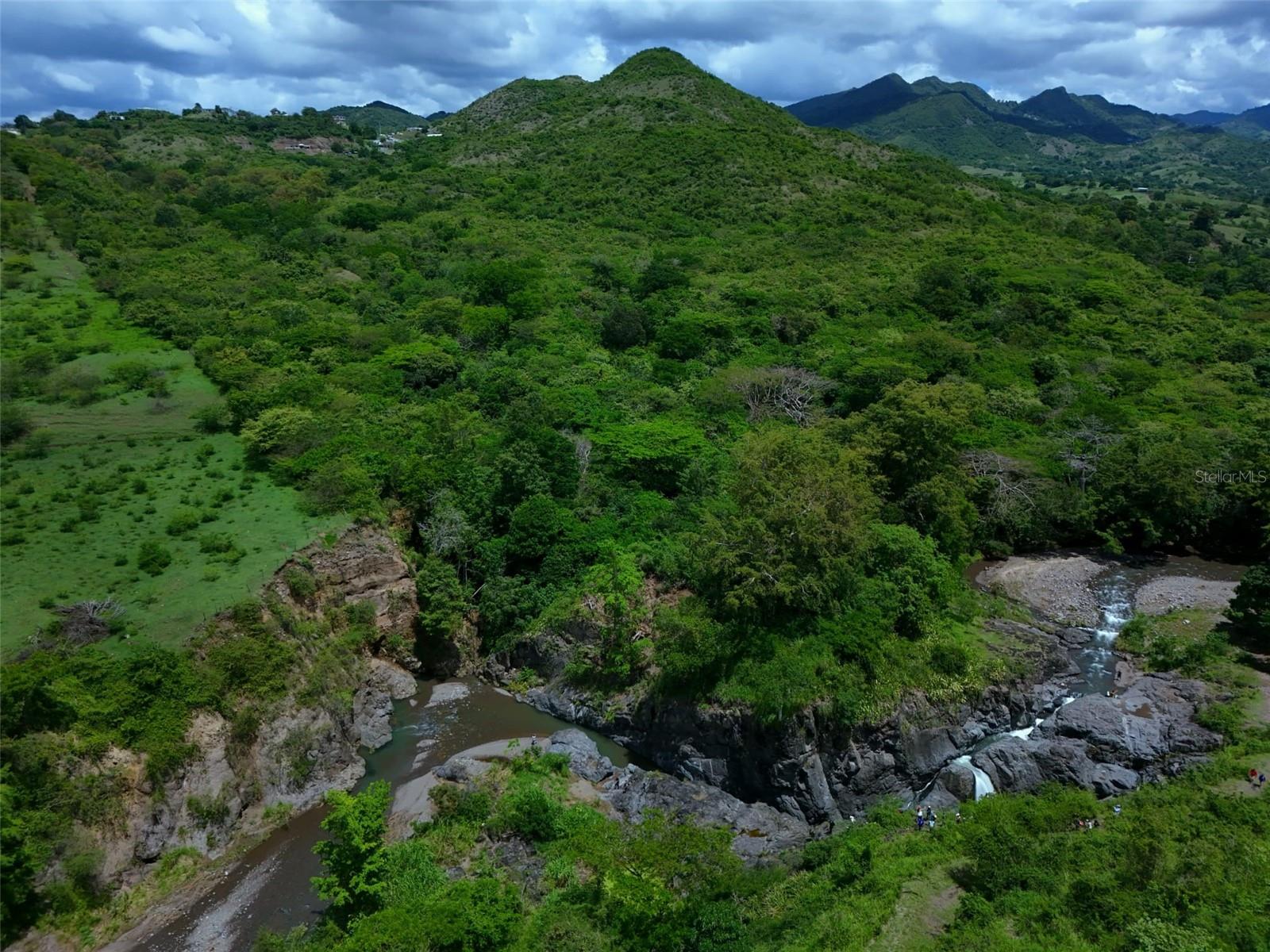 COAMO — foto 2