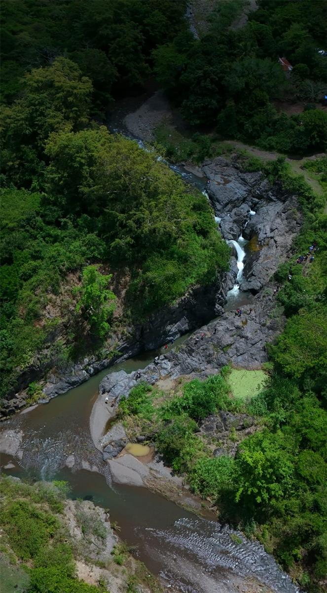 COAMO — foto 4