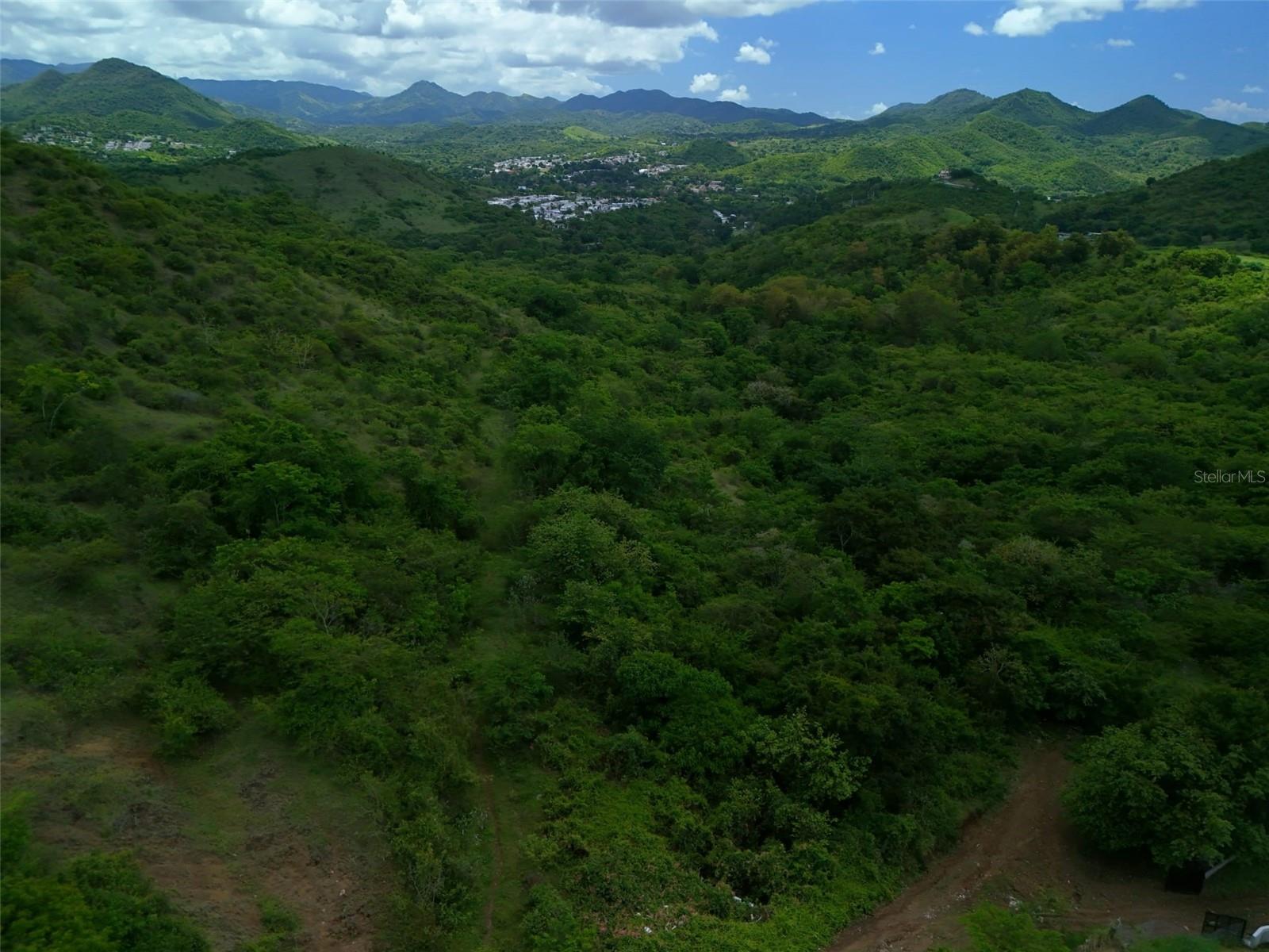 COAMO — foto 5