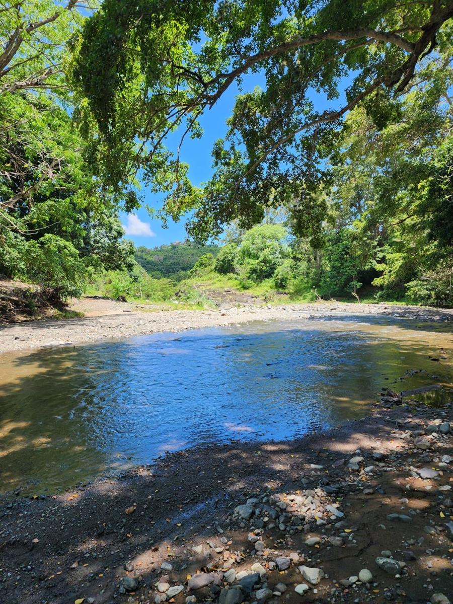 COAMO — foto 6