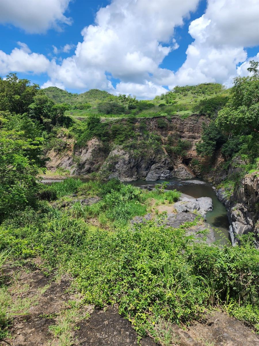 COAMO — foto 7