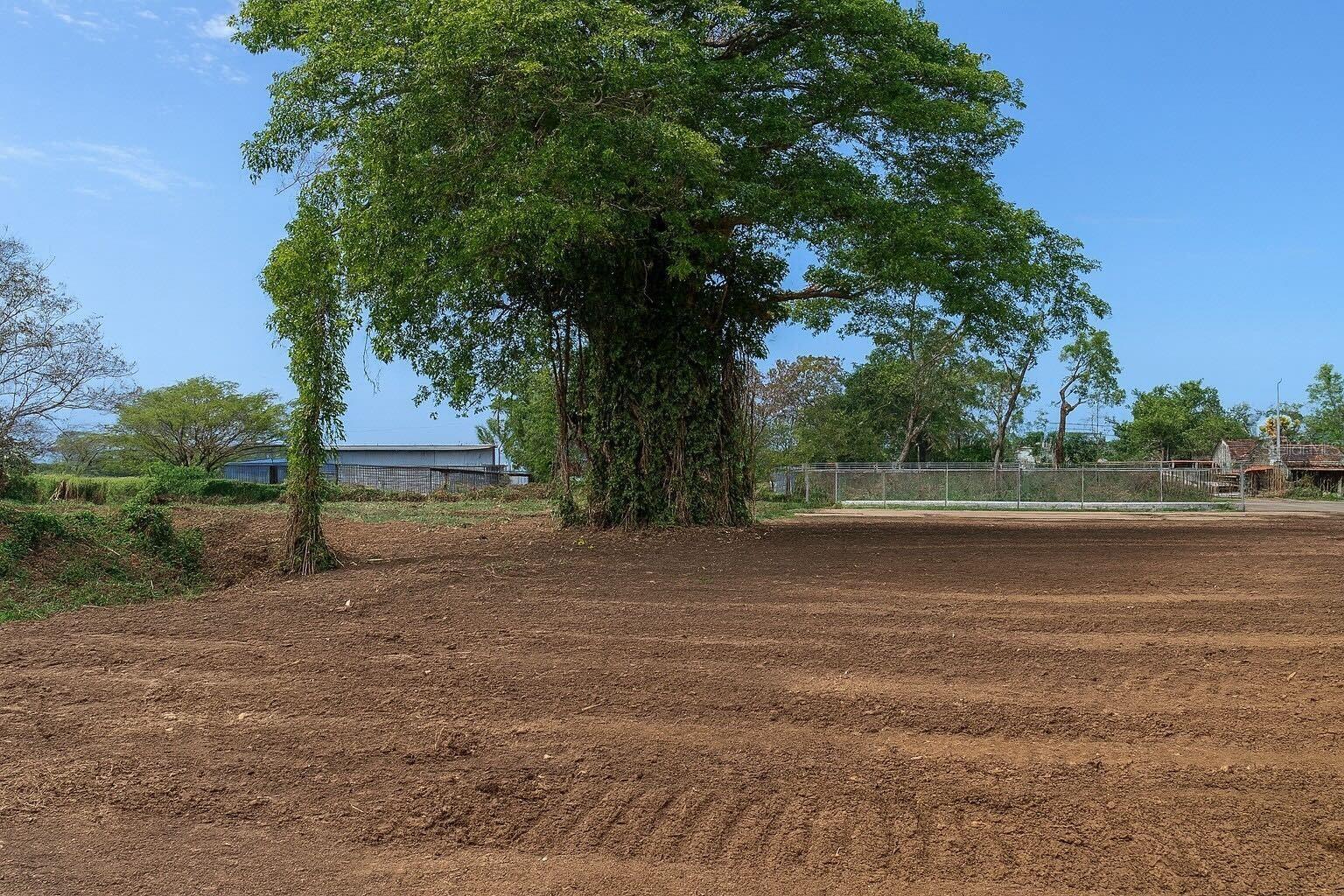 AGUADILLA — foto 5