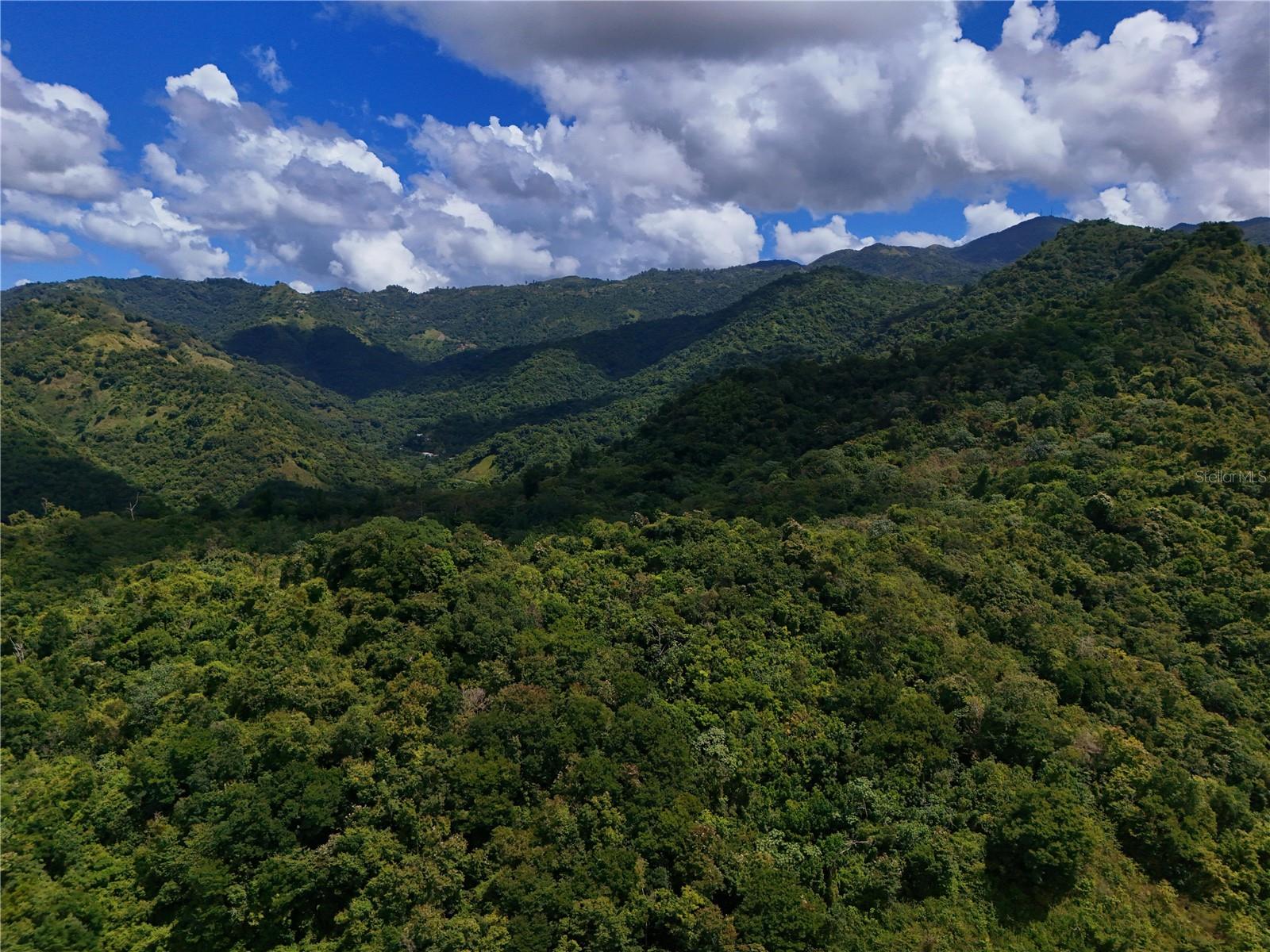 PONCE — foto 2