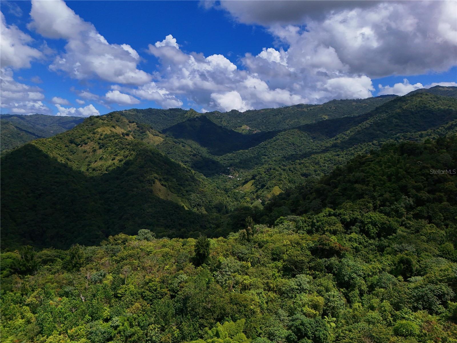 PONCE — foto 3