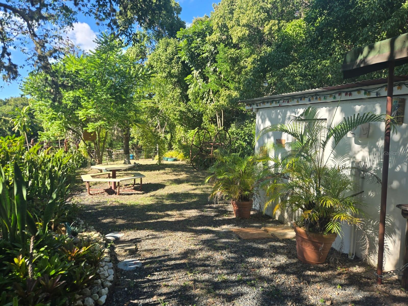 CABO ROJO