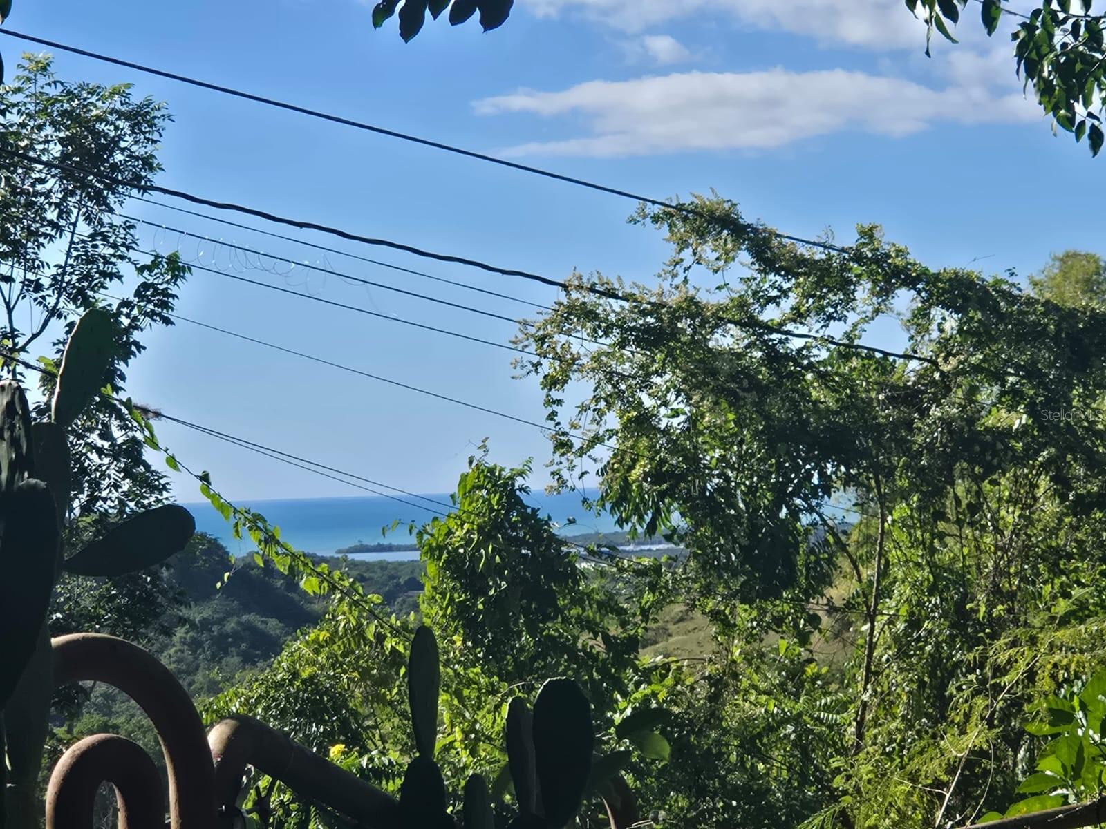 CABO ROJO — foto 8