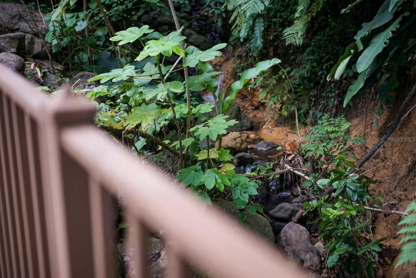 5 hab · 6 baños · RIO GRANDE — foto 12