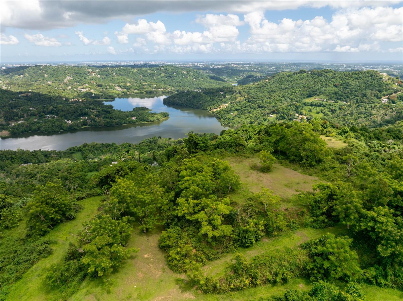 GURABO — foto 4