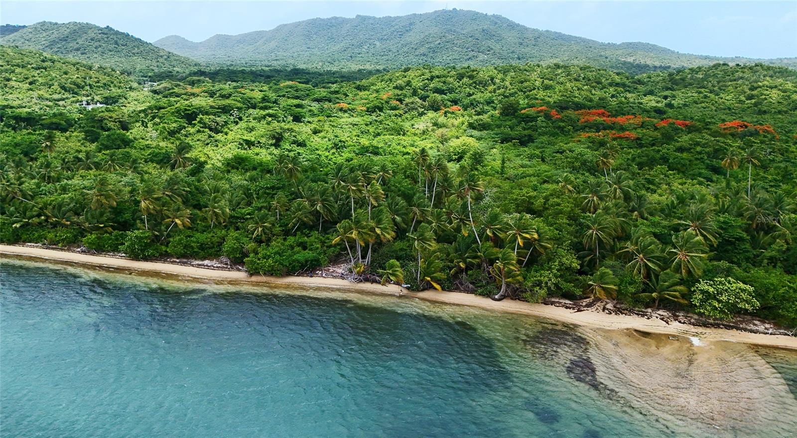 VIEQUES — foto 11
