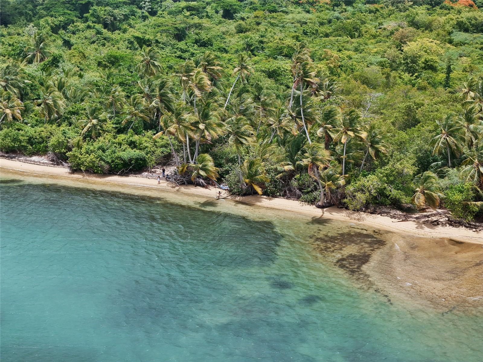 VIEQUES — foto 12