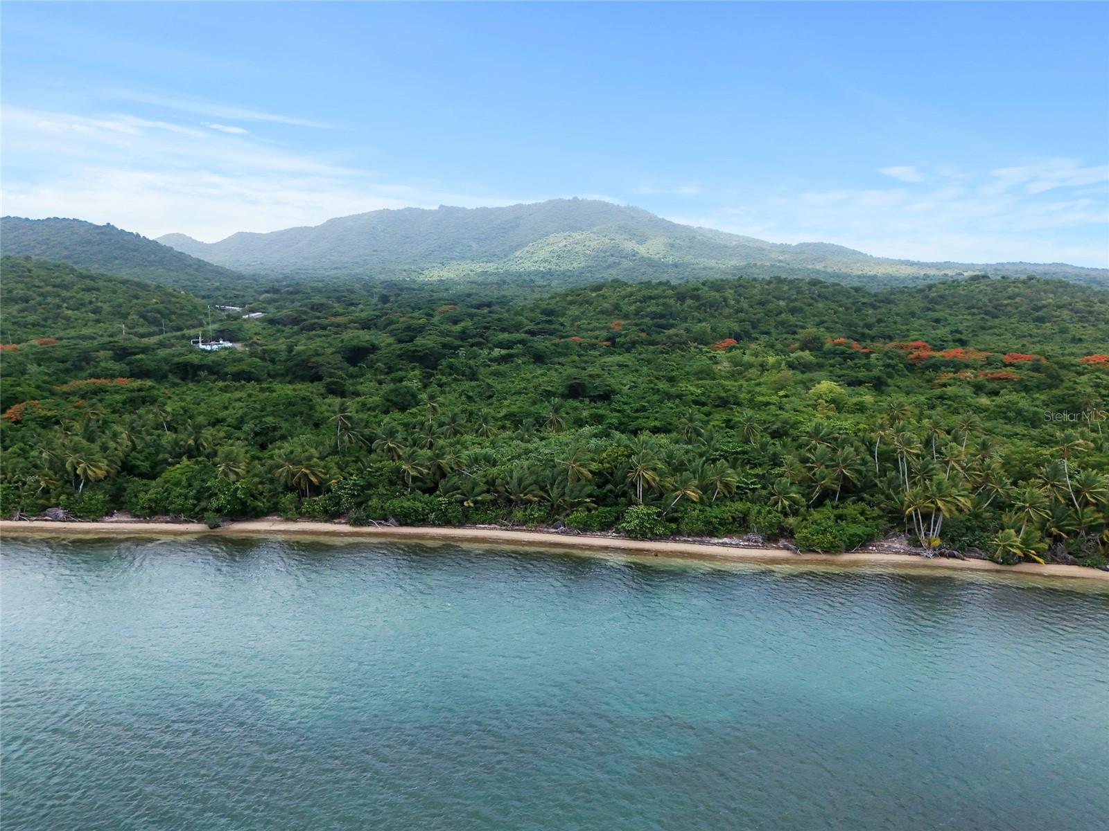 VIEQUES — foto 3