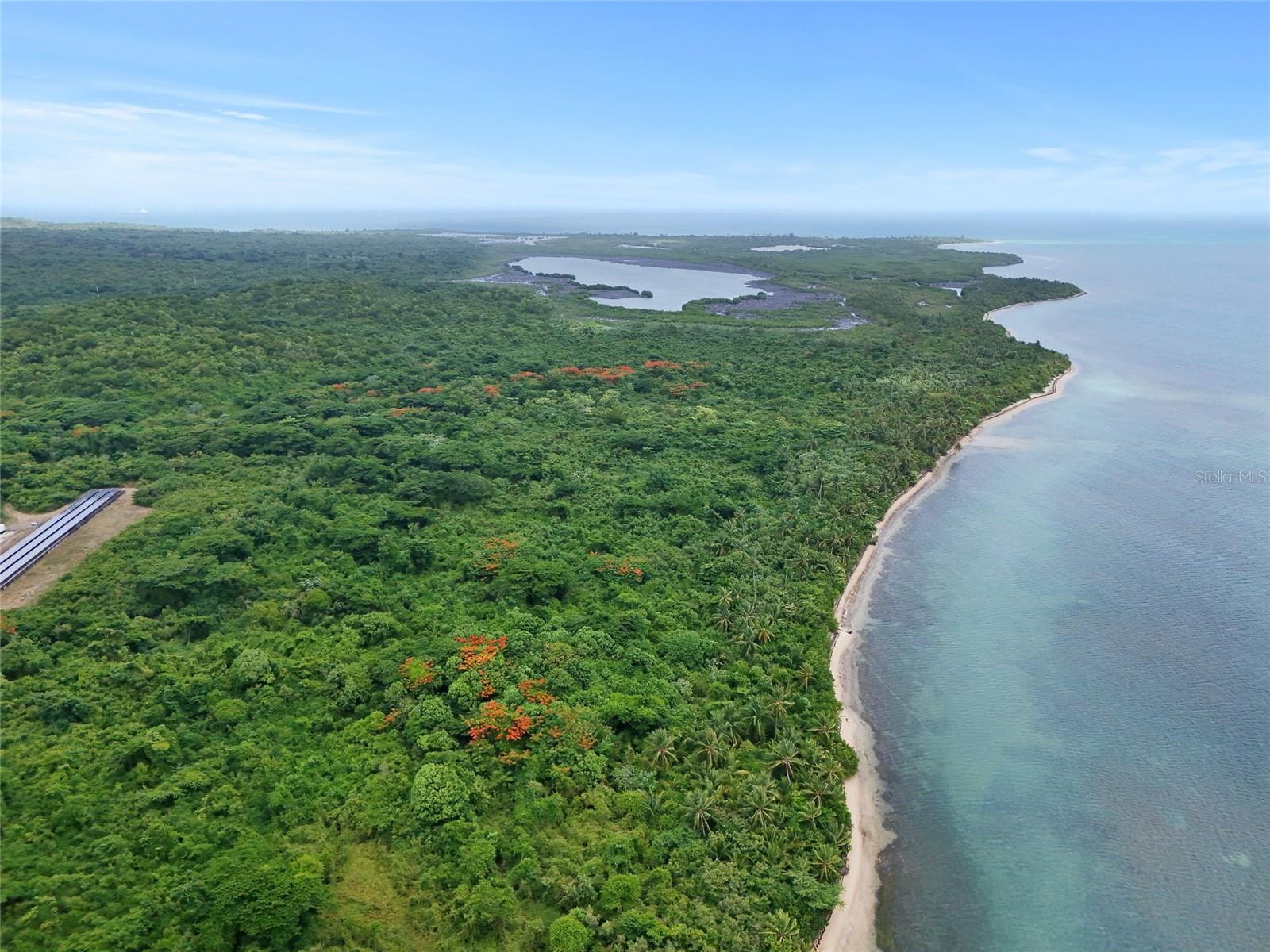VIEQUES — foto 6