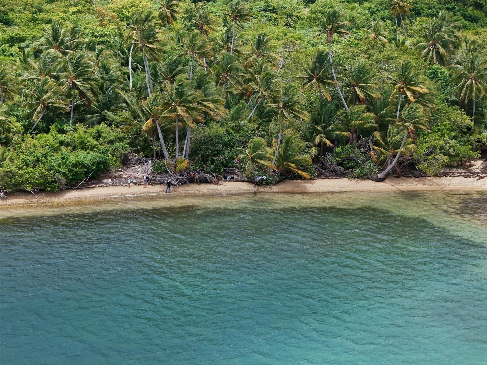 VIEQUES — foto 7