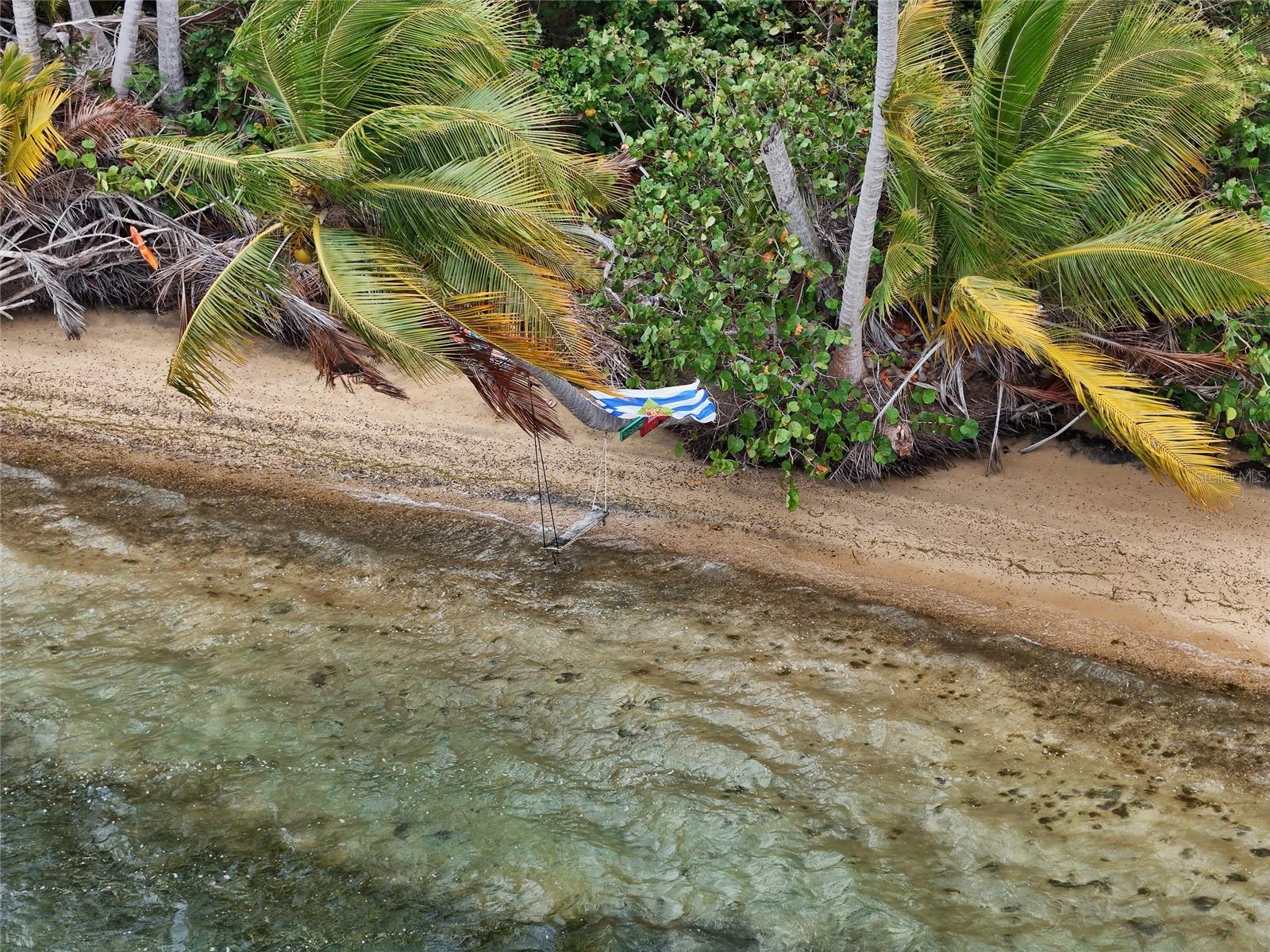 VIEQUES — foto 10
