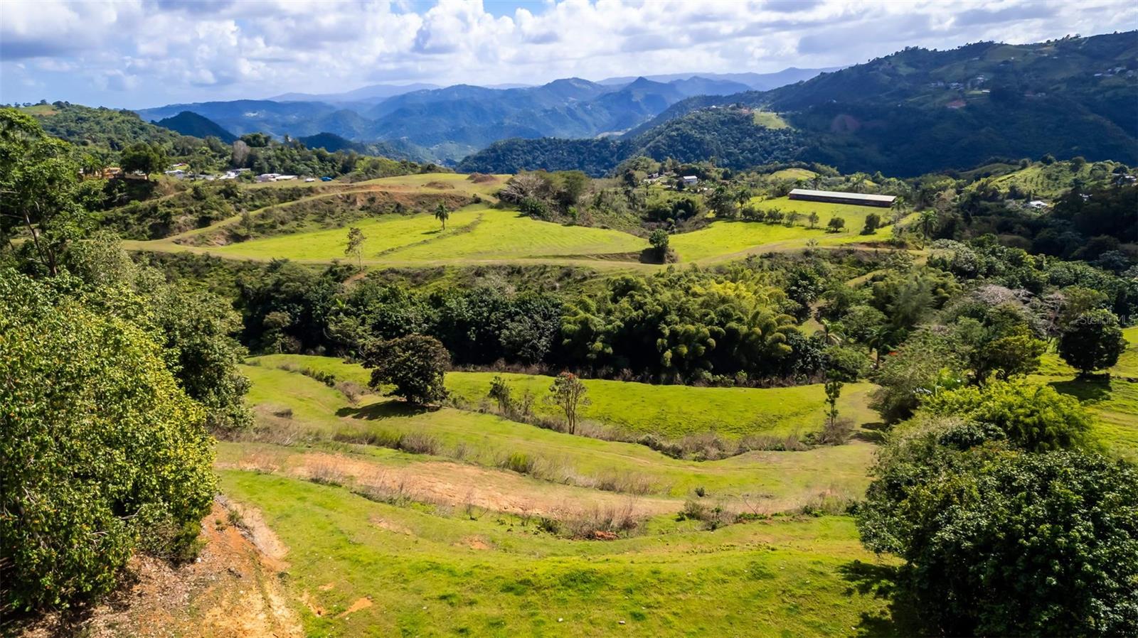 BARRANQUITAS