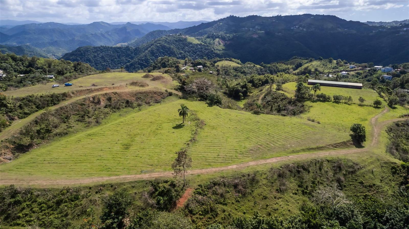 BARRANQUITAS — foto 7
