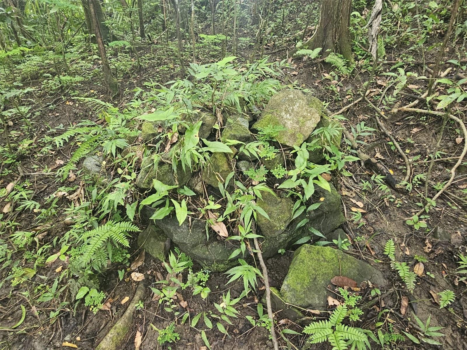NAGUABO — foto 11