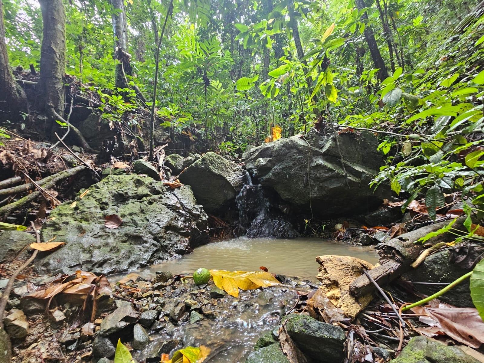NAGUABO — foto 4