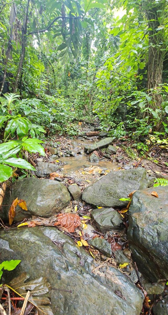 NAGUABO — foto 7