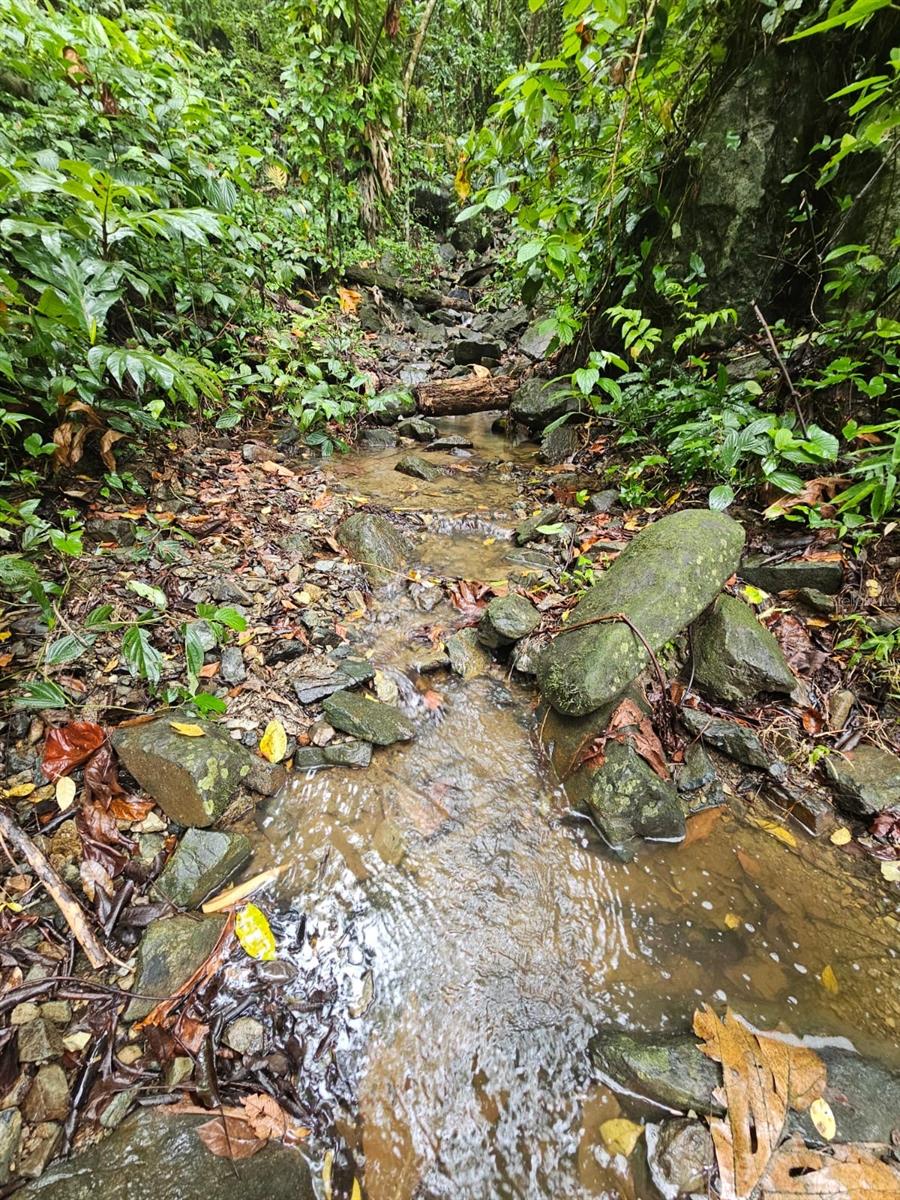 NAGUABO — foto 10