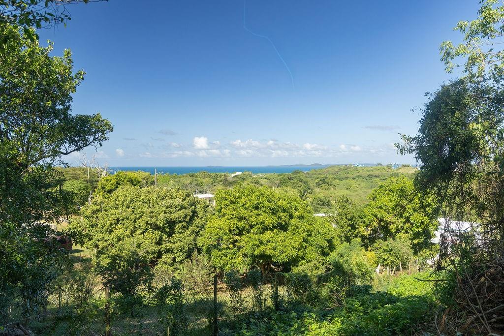 VIEQUES