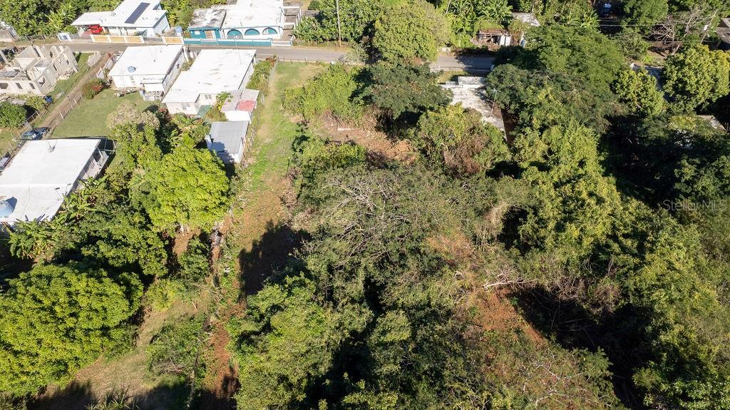 VIEQUES — foto 3