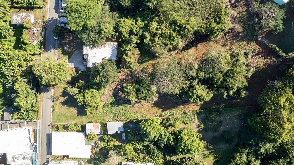 VIEQUES — foto 5