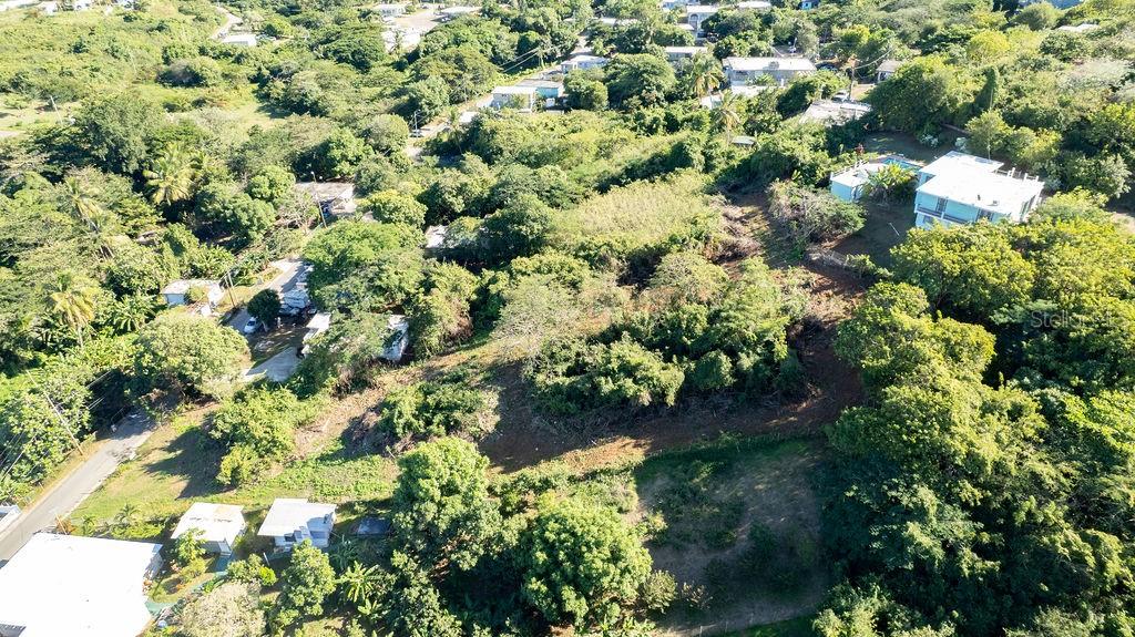 VIEQUES — foto 6