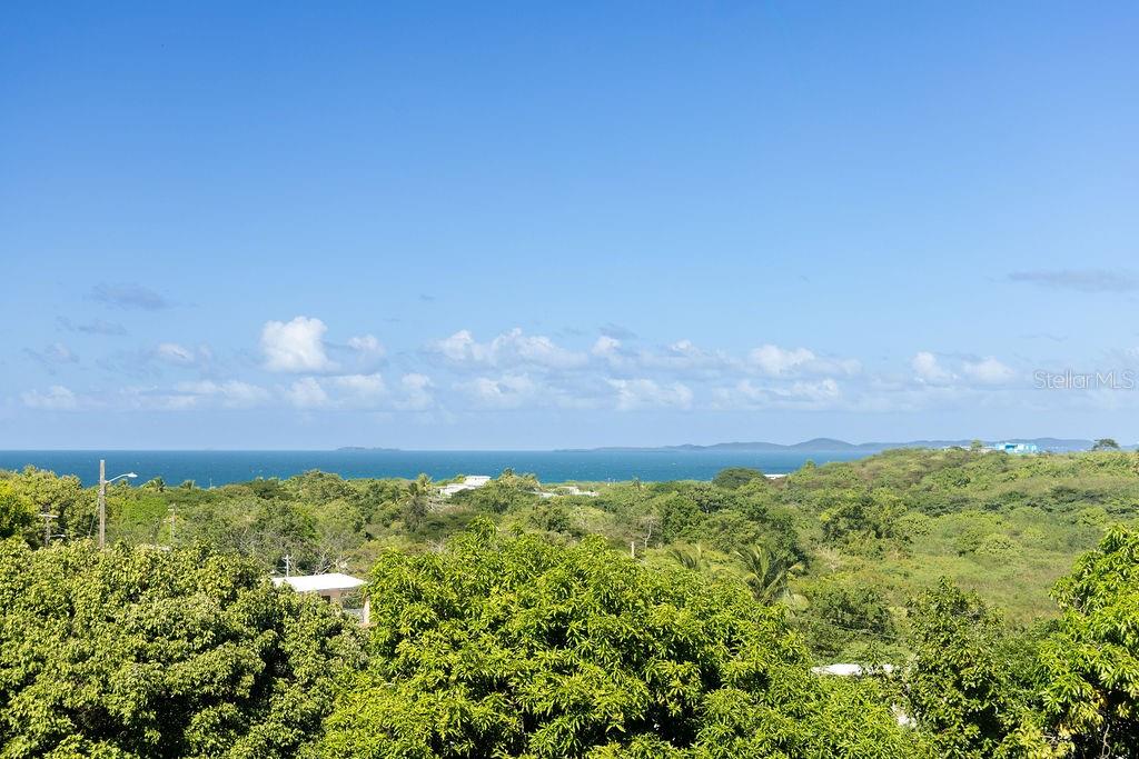 VIEQUES — foto 7