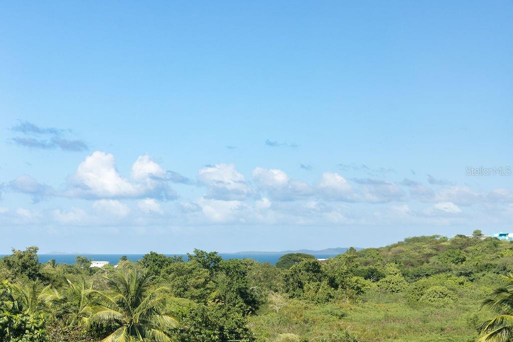 VIEQUES — foto 8