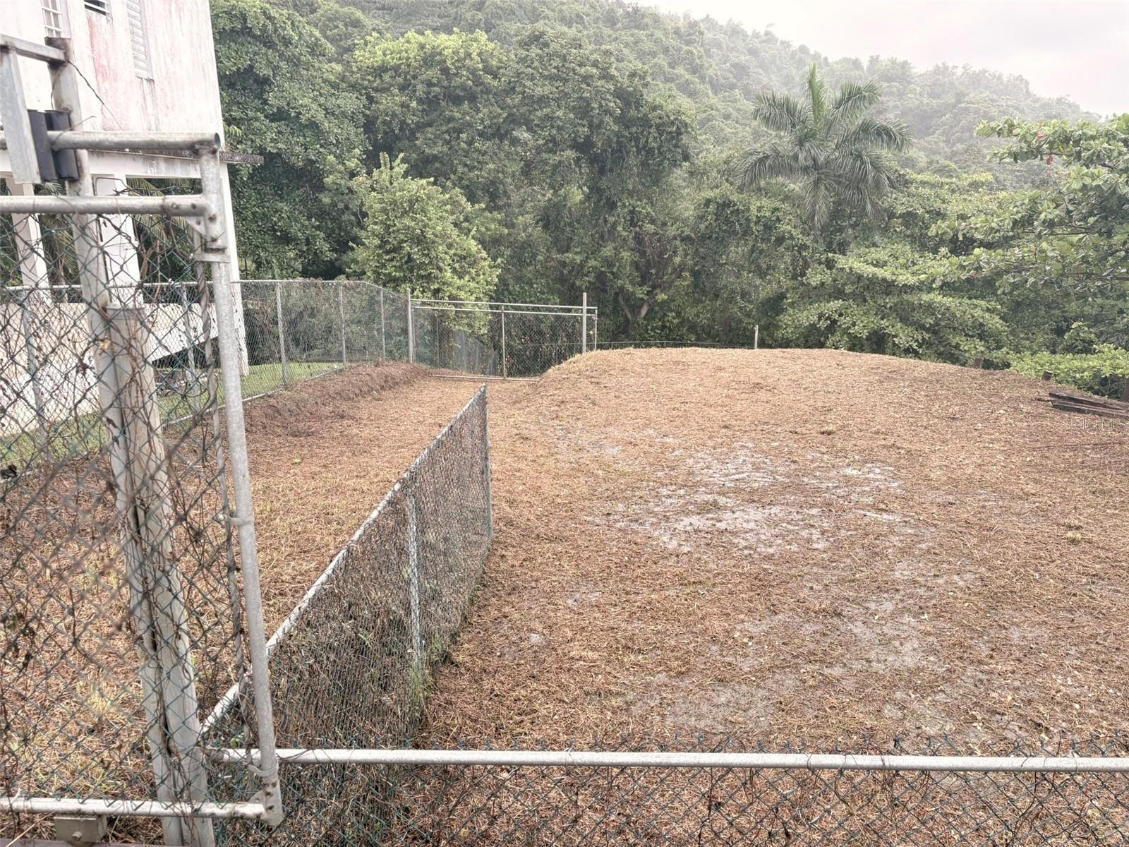 LUQUILLO — foto 2