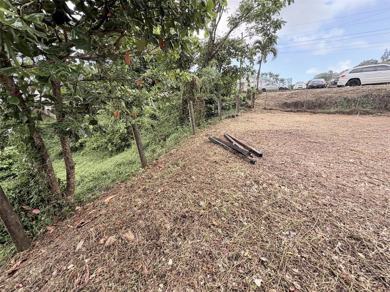 LUQUILLO — foto 4