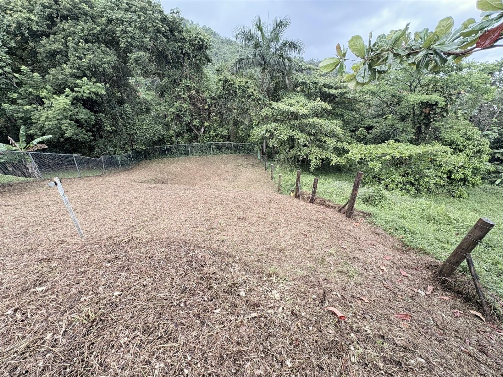 LUQUILLO — foto 6