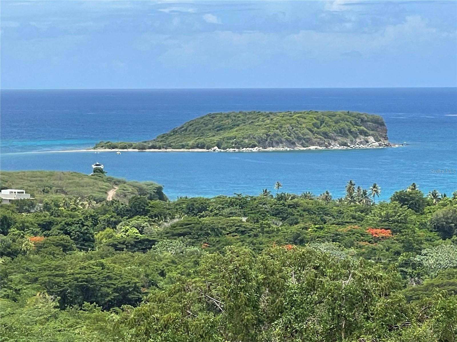 VIEQUES