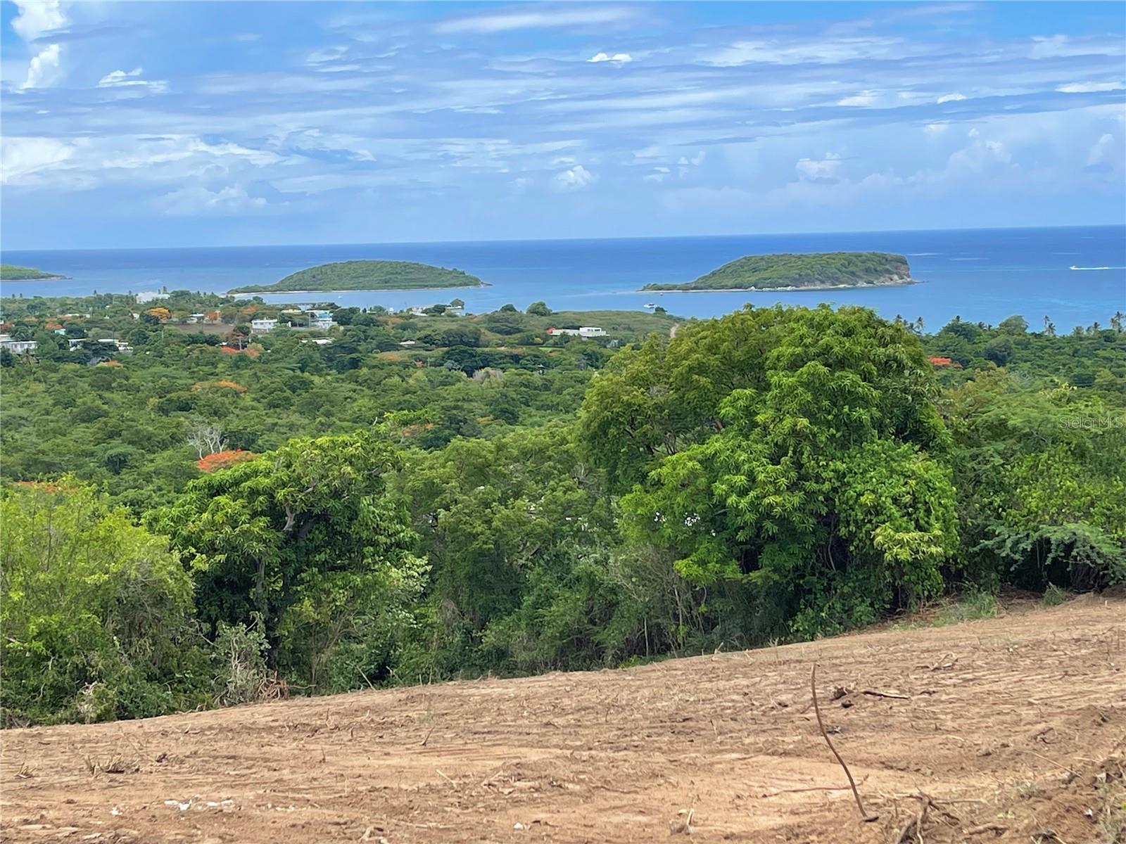 VIEQUES — foto 11
