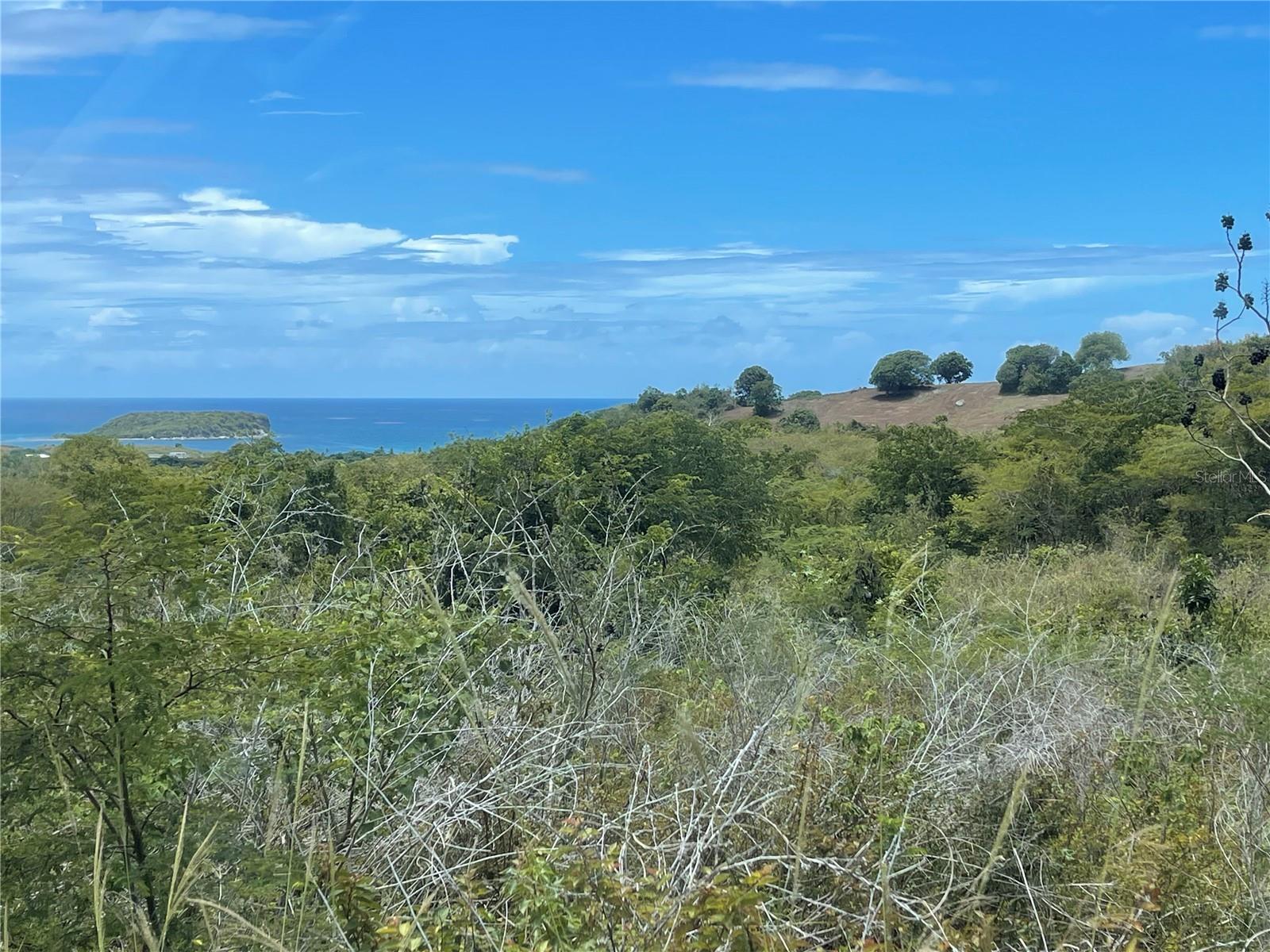 VIEQUES — foto 4