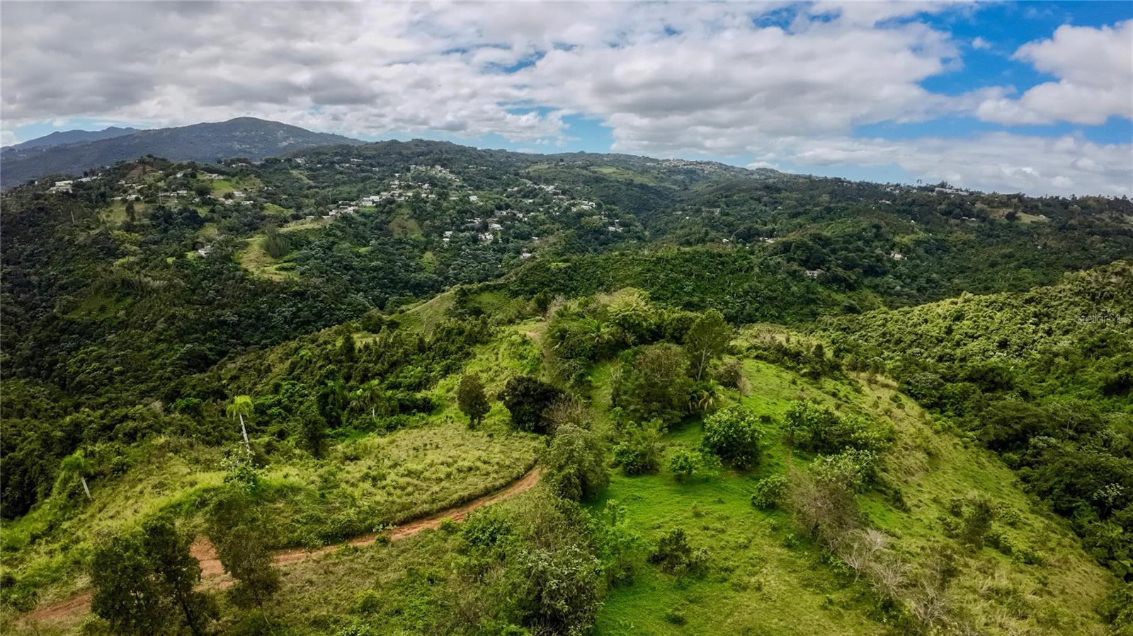 CAGUAS — foto 11