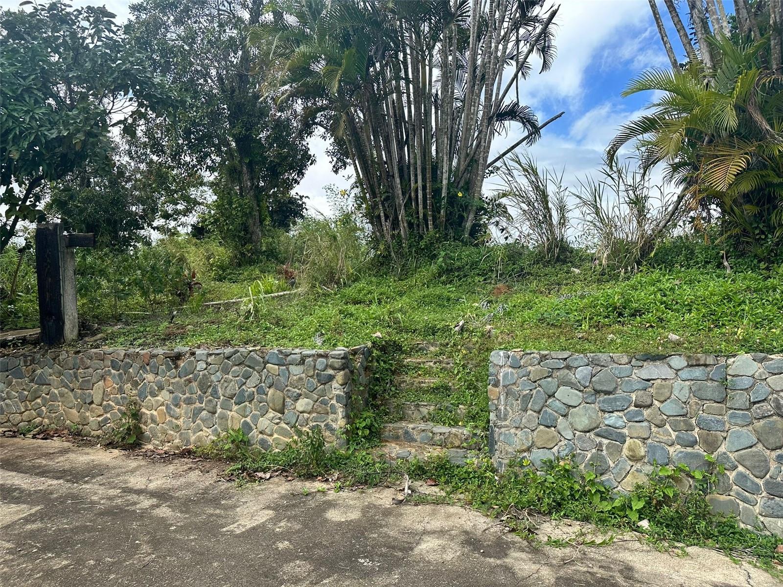 AGUAS BUENAS — foto 5