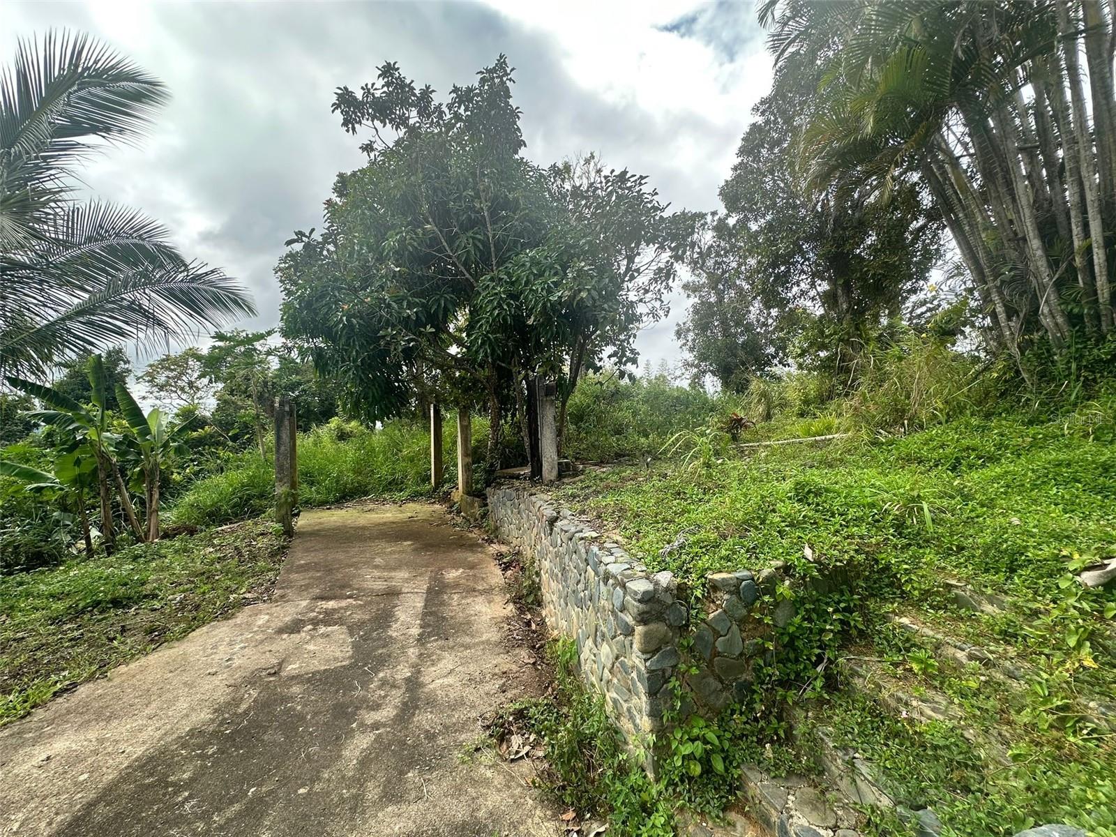 AGUAS BUENAS — foto 6
