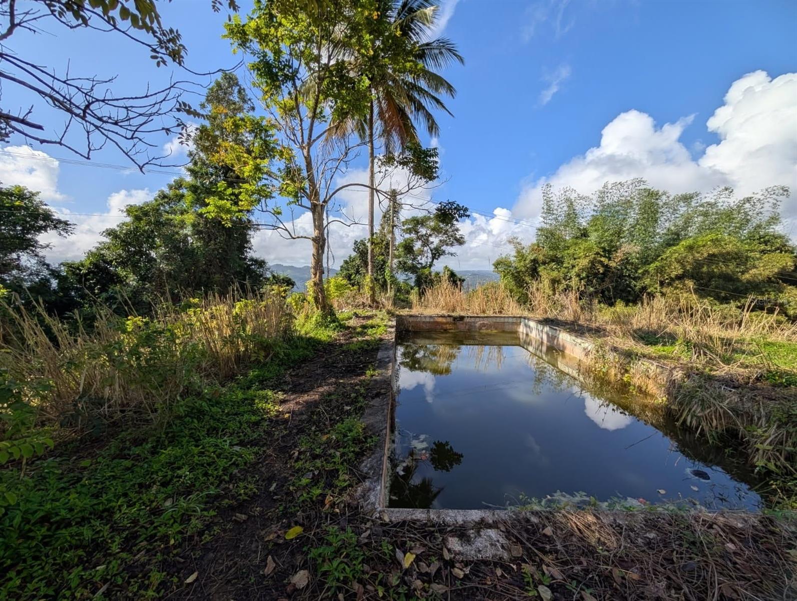 AGUAS BUENAS — foto 10