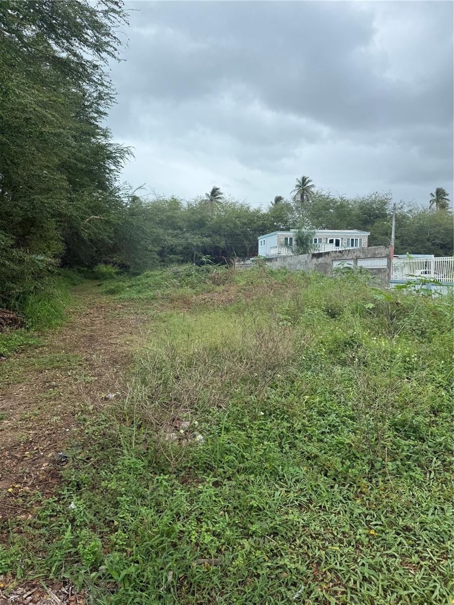 LOIZA — foto 2