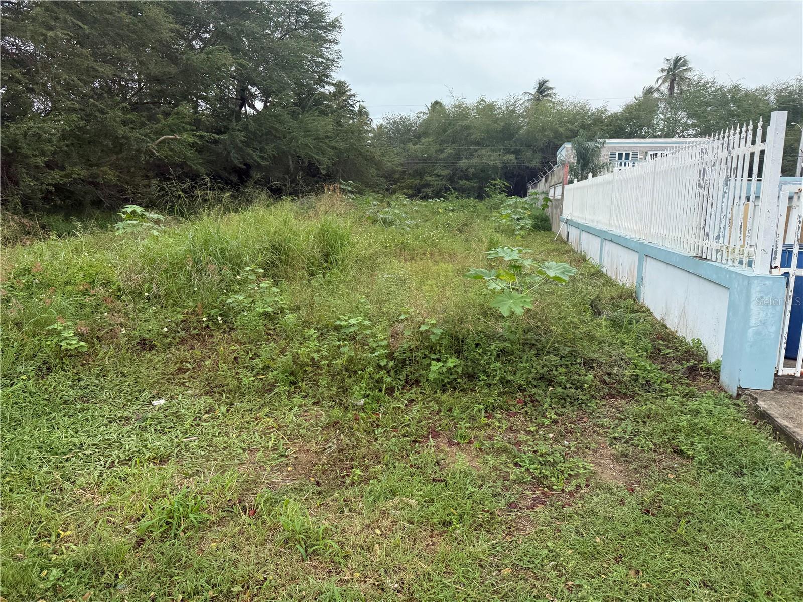 LOIZA — foto 12