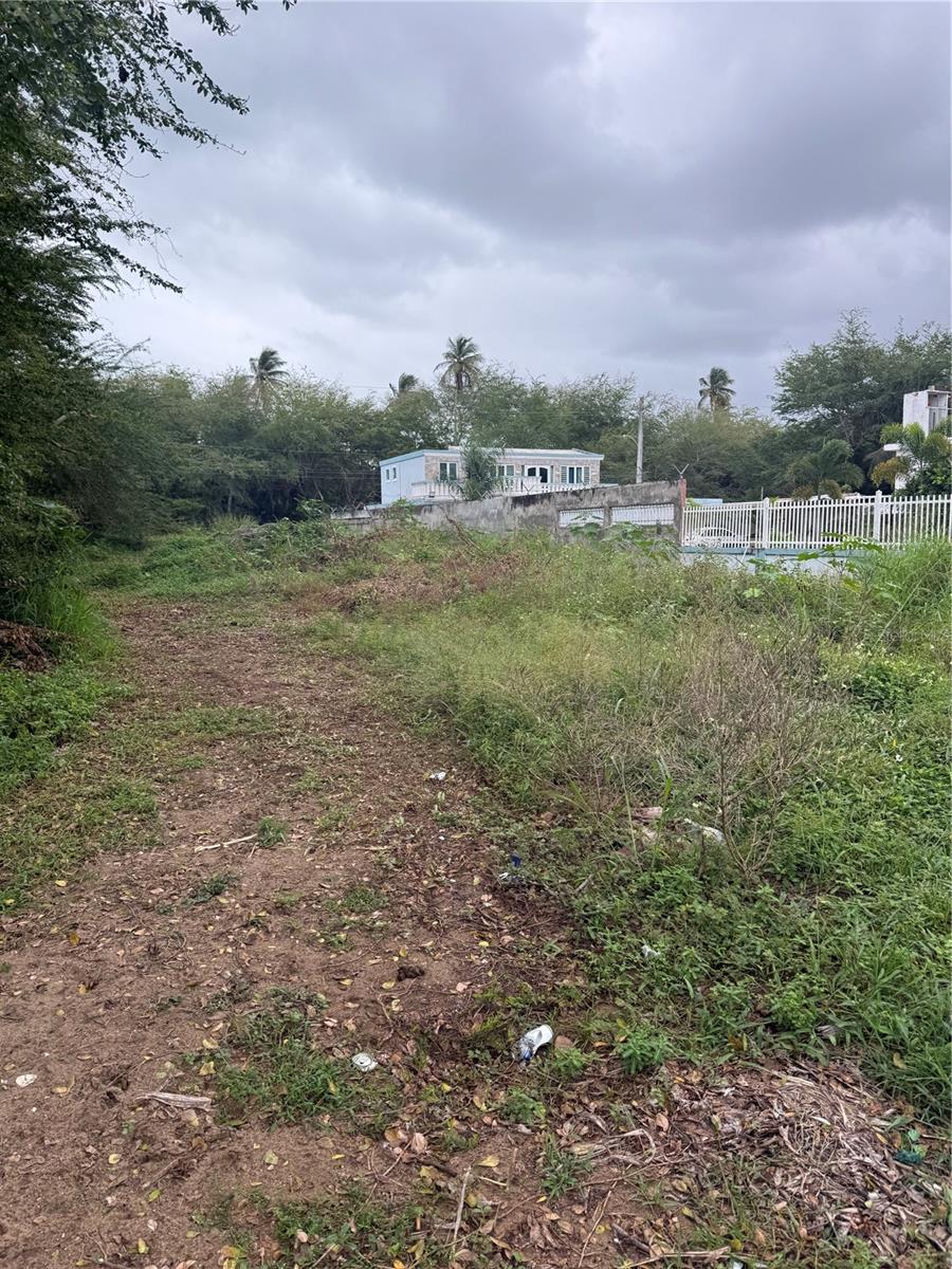 LOIZA — foto 3