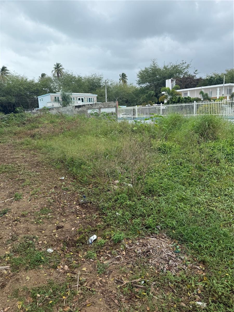 LOIZA — foto 4