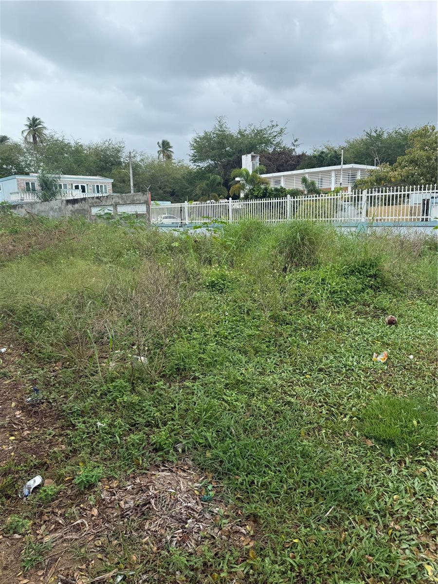 LOIZA — foto 5