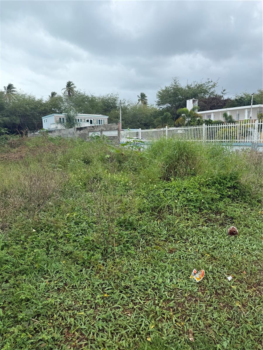 LOIZA — foto 6