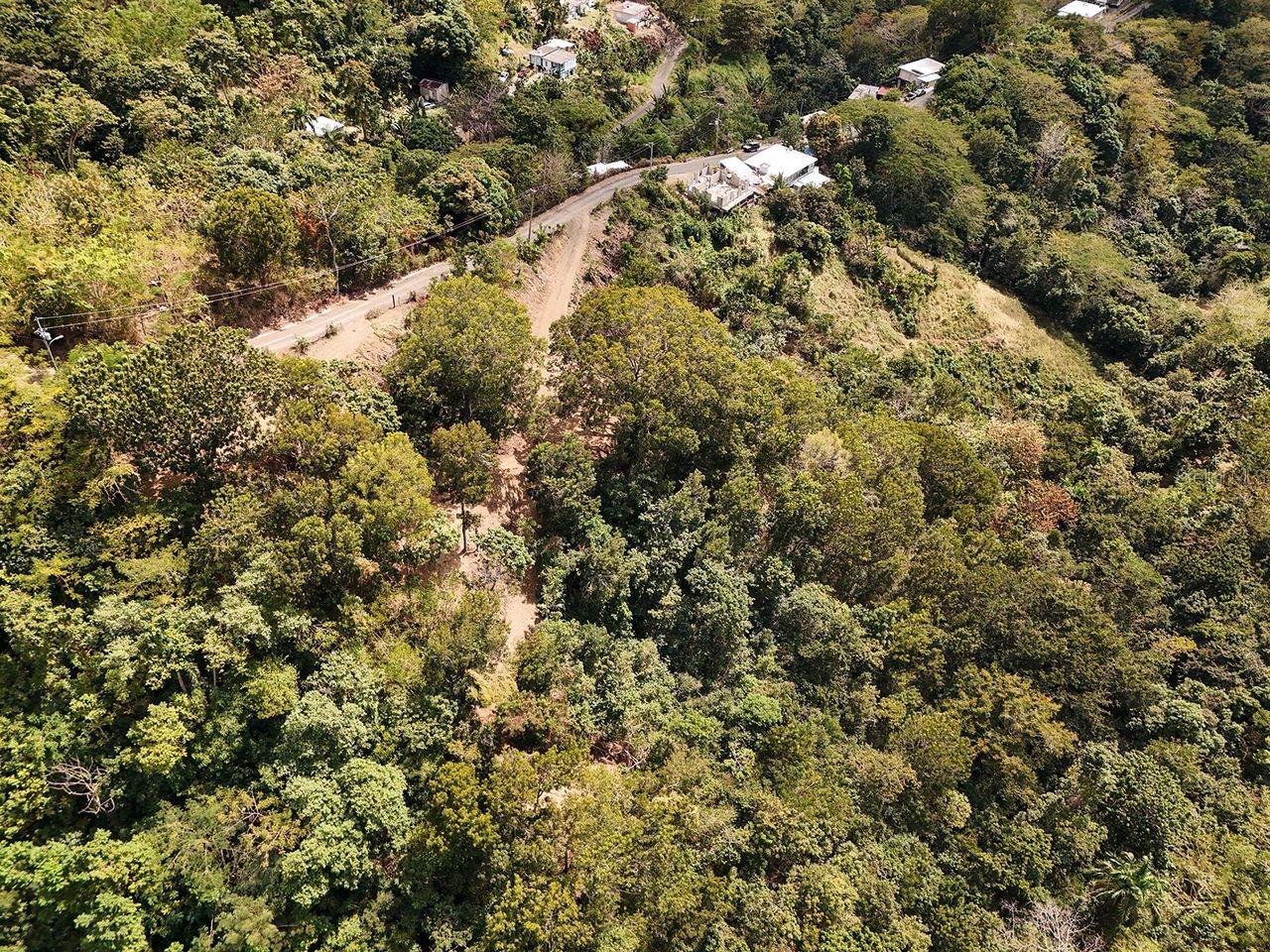 ANASCO — foto 3